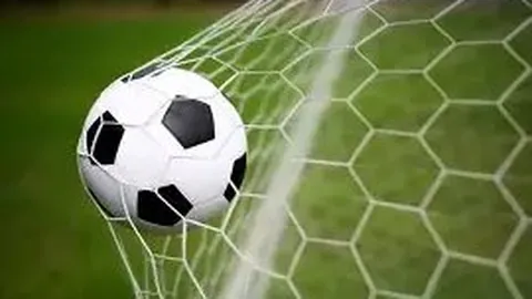 冬奥冠军2月10日亚冬会力争再夺一金